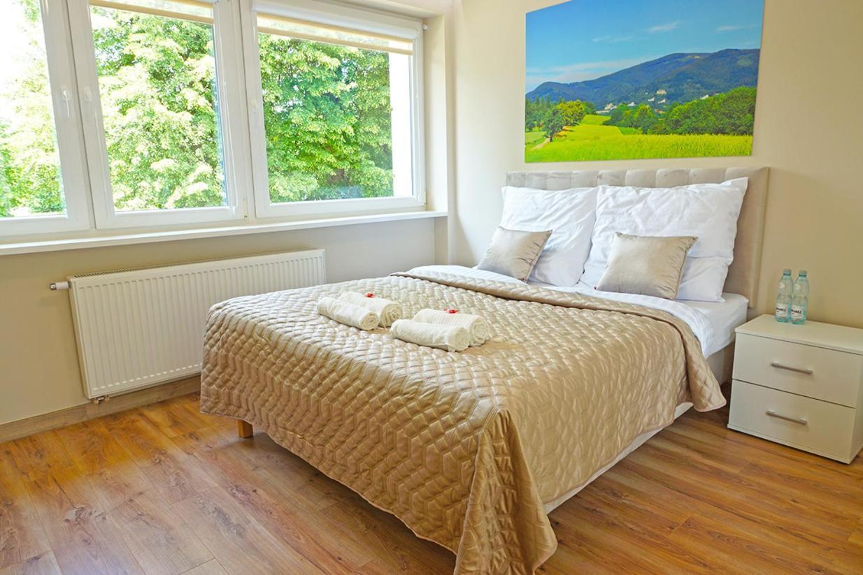 Nad Stawem Appartement Ustroń Kamer foto